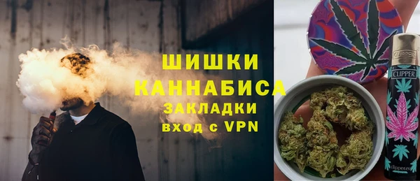 индика Горно-Алтайск