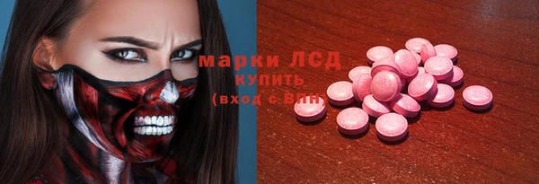 индика Горно-Алтайск