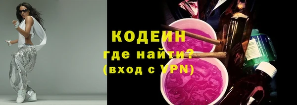 индика Горно-Алтайск
