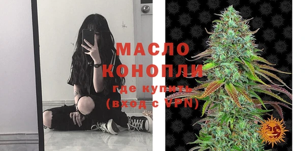 индика Горно-Алтайск