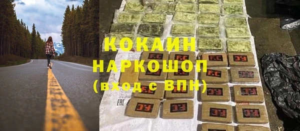 индика Горно-Алтайск