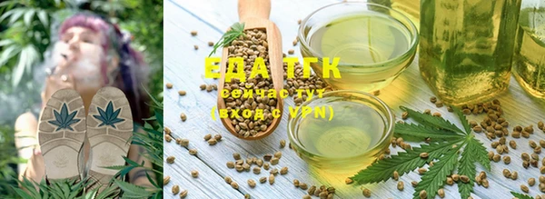 индика Горно-Алтайск