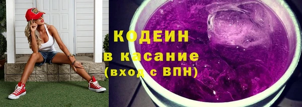 индика Горно-Алтайск