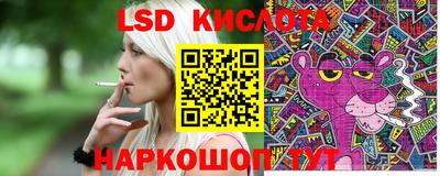 стаф Донской