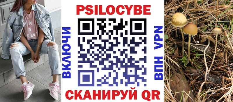 Псилоцибиновые грибы мицелий  ОМГ ОМГ ССЫЛКА  Дюртюли 