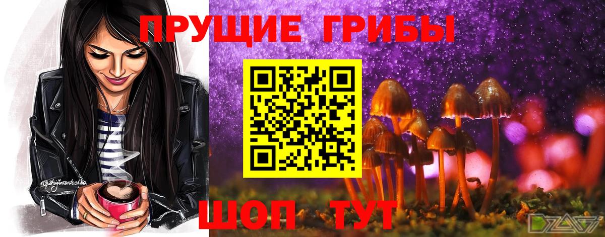 Дюртюли  Галлюциногенные грибы Magic Shrooms  Вход с VPN 