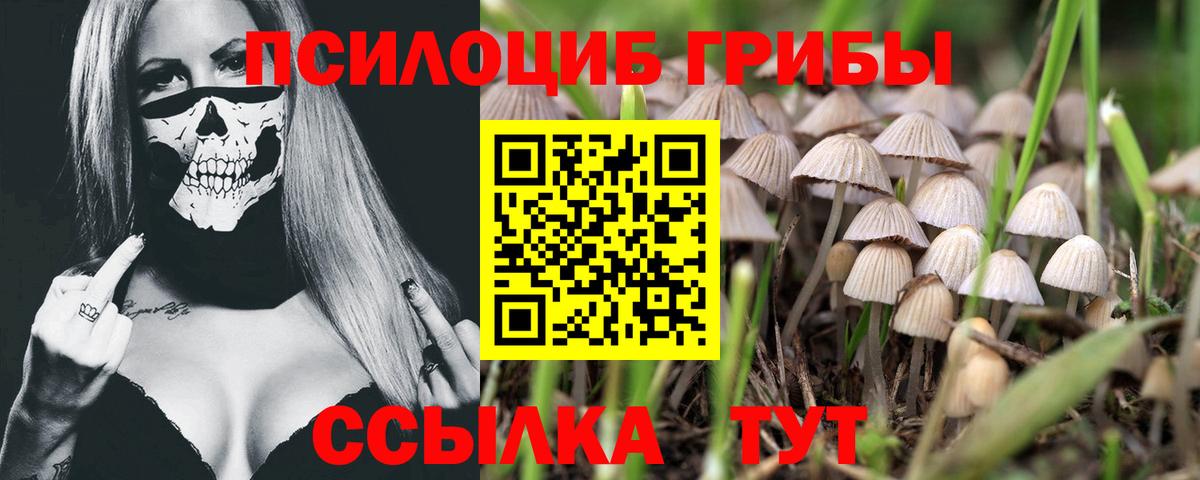 Псилоцибиновые грибы Magic Shrooms Дюртюли